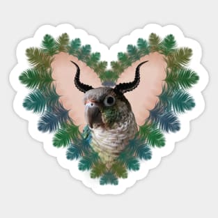 demon conure parrot Sticker